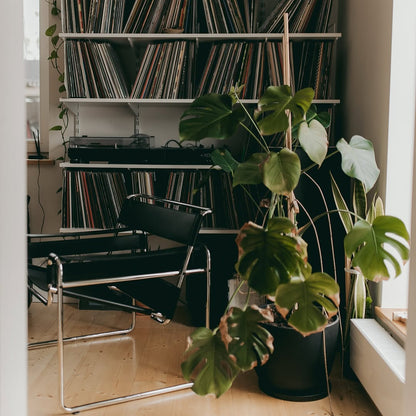 Wassily Lounge Chair